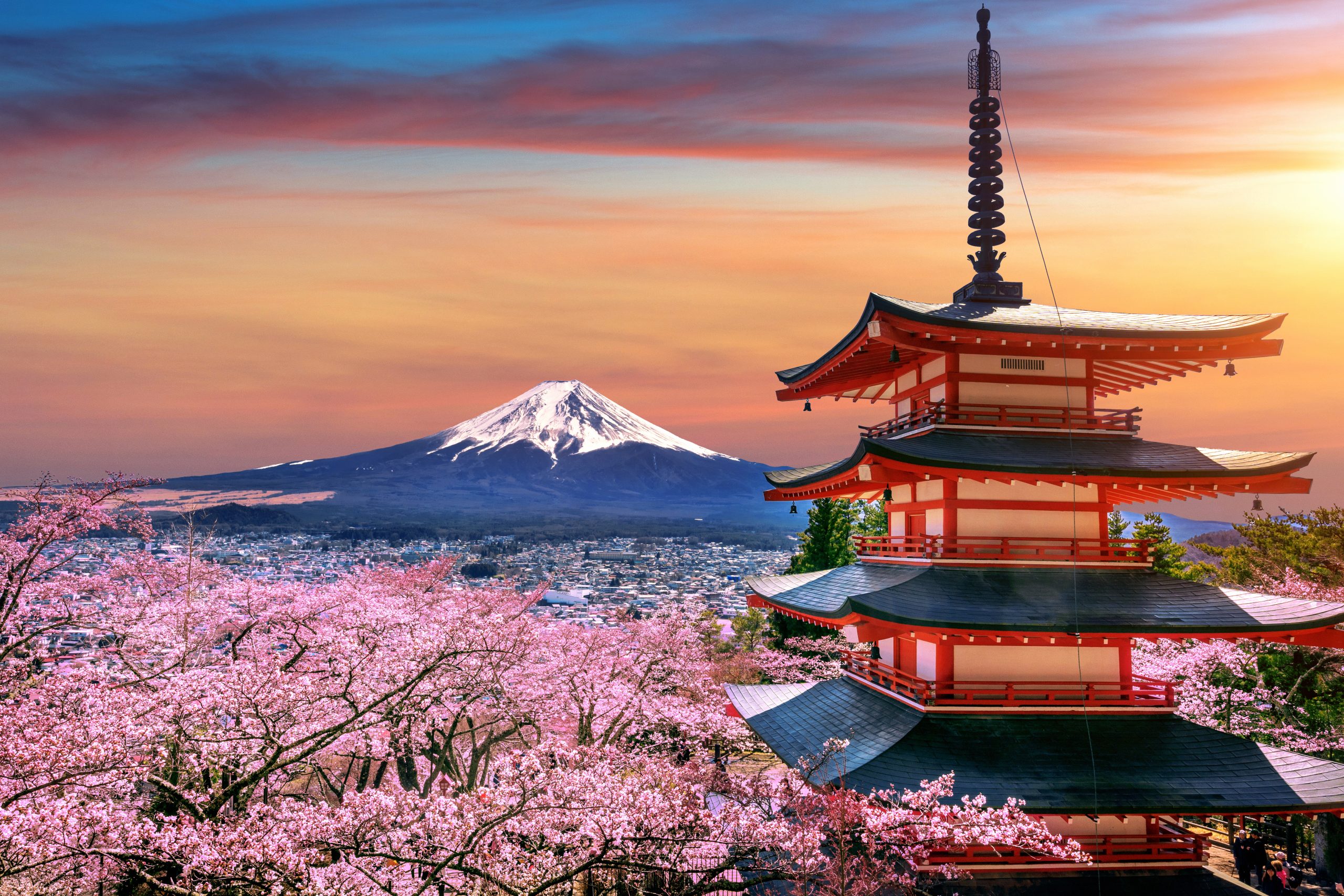 cherry blossoms spring chureito pagoda fuji mountain sunset japan scaled